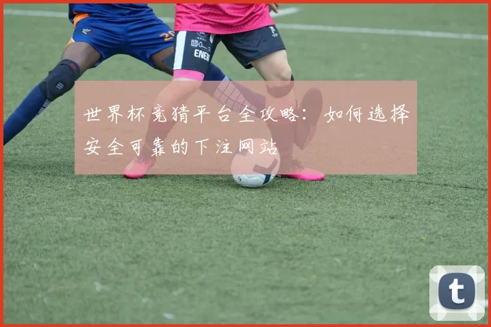 世界杯竞猜平台全攻略：如何选择安全可靠的下注网站