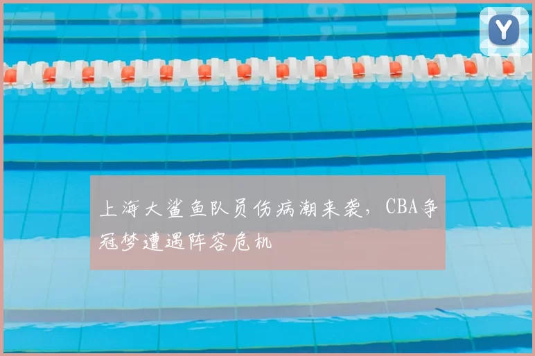 上海大鲨鱼队员伤病潮来袭,CBA争冠梦遭遇阵容危机