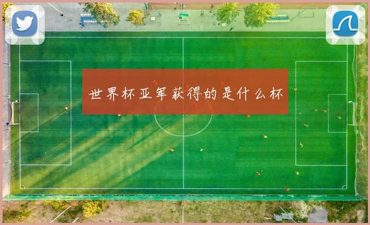 世界杯亚军获得的是什么杯
