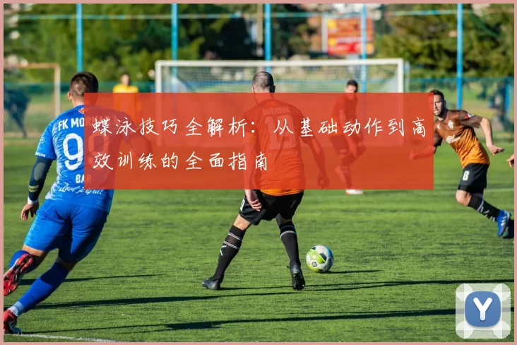 蝶泳技巧全解析:从基础动作到高效训练的全面指南