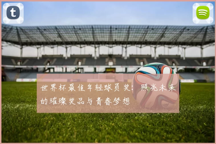 世界杯最佳年轻球员奖:照亮未来的璀璨奖品与青春梦想