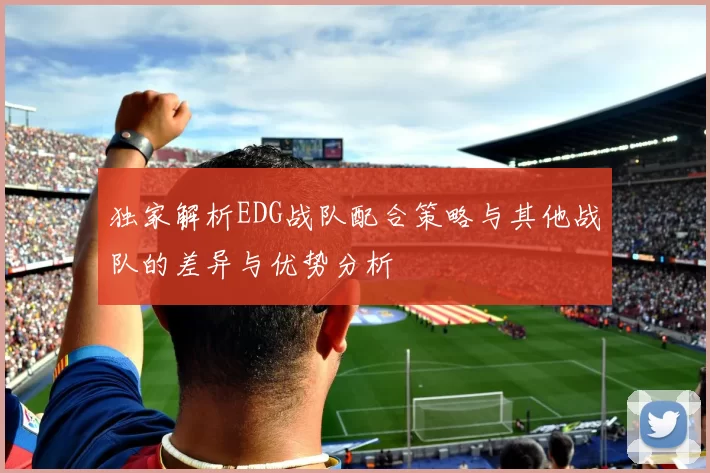 独家解析EDG战队配合策略与其他战队的差异与优势分析