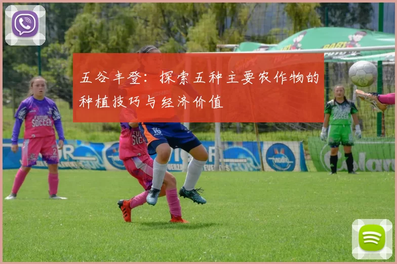 五谷丰登:探索五种主要农作物的种植技巧与经济价值