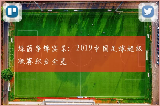 绿茵争锋实录：2019中国足球超级联赛积分全览