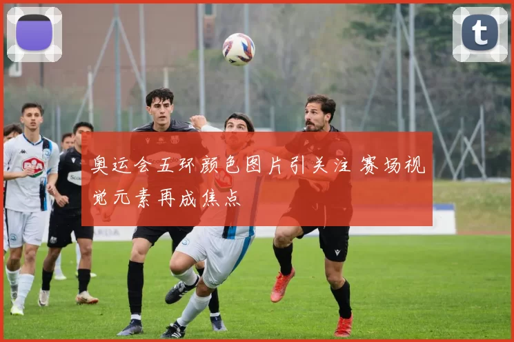 奥运会五环颜色图片引关注 赛场视觉元素再成焦点