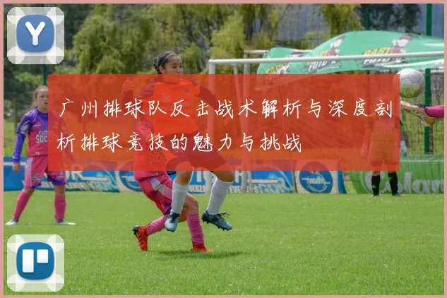 广州排球队反击战术解析与深度剖析排球竞技的魅力与挑战