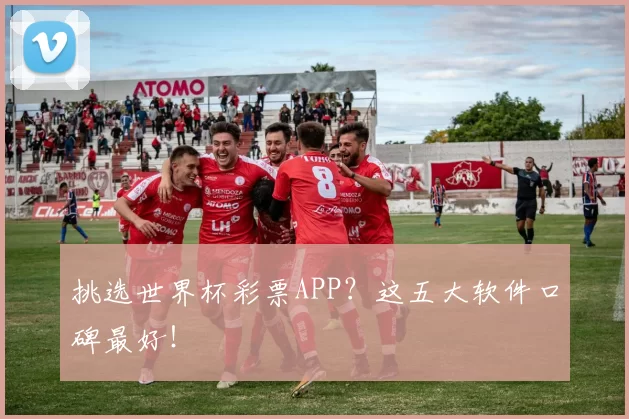 挑选世界杯彩票APP?这五大软件口碑最好!
