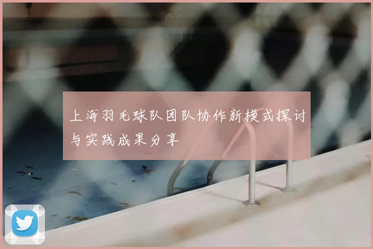 上海羽毛球队团队协作新模式探讨与实践成果分享