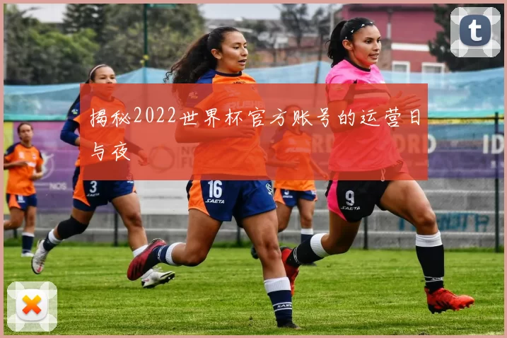 揭秘2022世界杯官方账号的运营日与夜