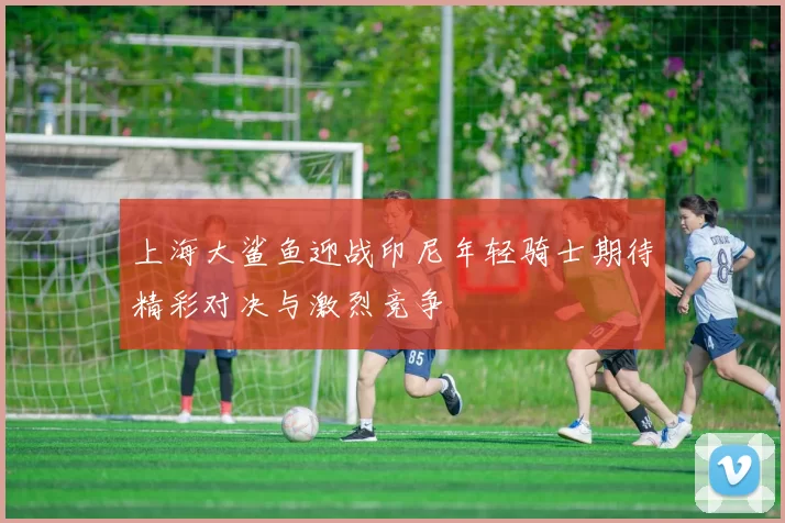 上海大鲨鱼迎战印尼年轻骑士期待精彩对决与激烈竞争