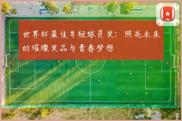 世界杯最佳年轻球员奖：照亮未来的璀璨奖品与青春梦想