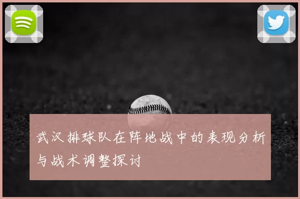 武汉排球队在阵地战中的表现分析与战术调整探讨