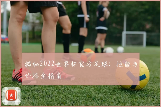 揭秘2022世界杯官方足球:性能与价格全指南
