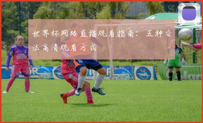 世界杯网络直播观看指南:五种合法高清观看方式