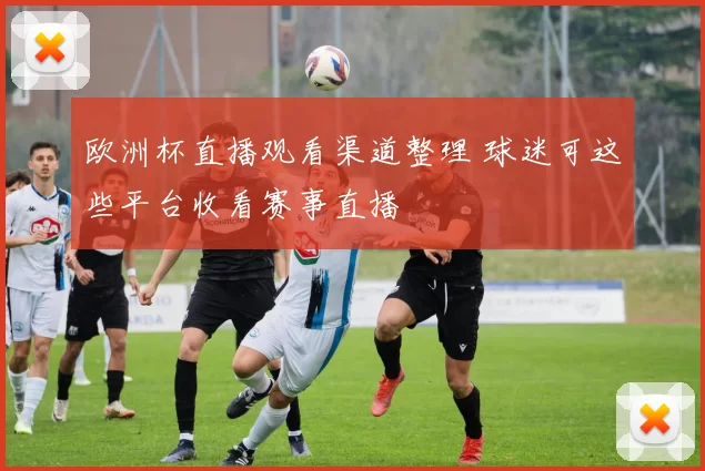 欧洲杯直播观看渠道整理 球迷可这些平台收看赛事直播