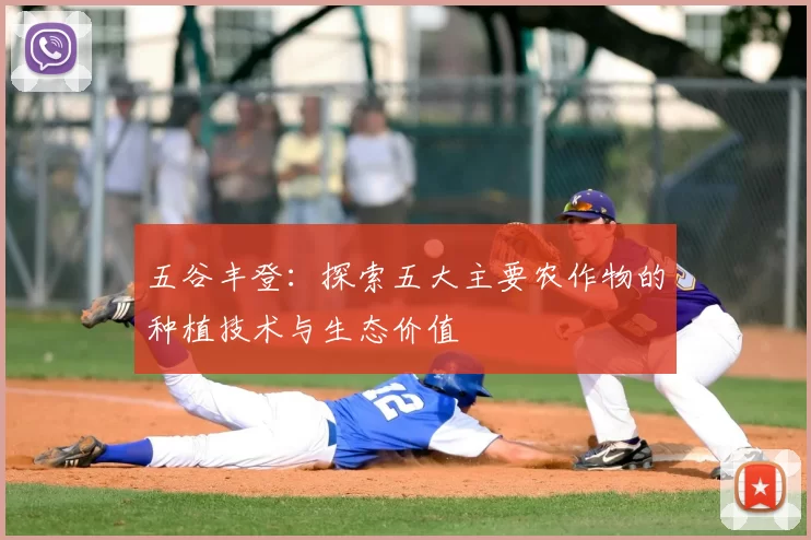 五谷丰登:探索五大主要农作物的种植技术与生态价值