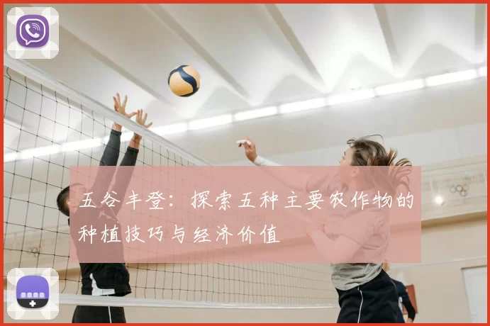 五谷丰登:探索五种主要农作物的种植技巧与经济价值