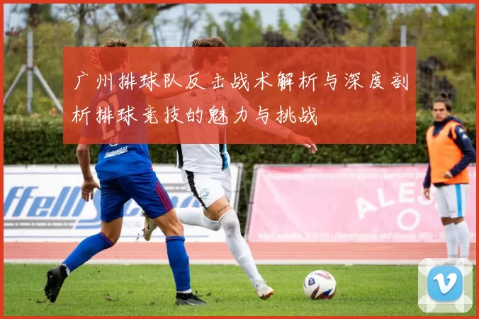 广州排球队反击战术解析与深度剖析排球竞技的魅力与挑战