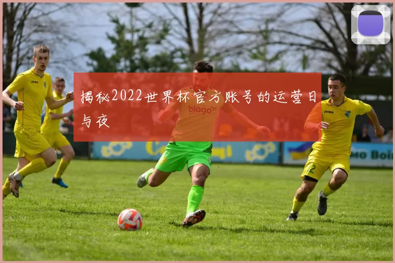 揭秘2022世界杯官方账号的运营日与夜