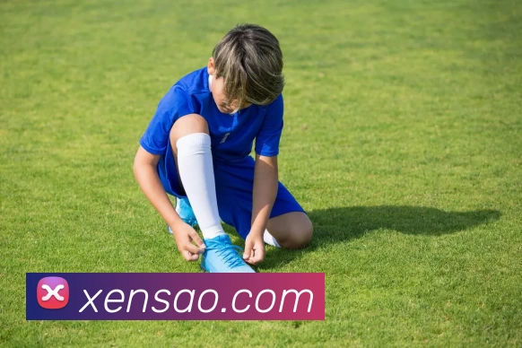 华体会体育平台生态图