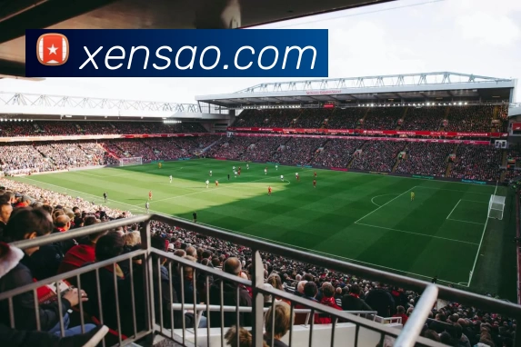 华体会体育APP 封面图